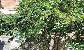 Imagem 2: IMPERDÍVEL VENDO CASA EM SUZANO / SÓ R$ 180 Mil