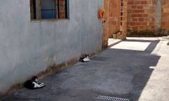 Imagem 7: Casa em rua pública