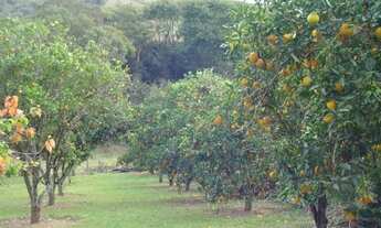 Imagem 3: Loteamento - Condomínio Tuiuti/SP