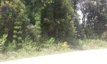 Imagem 4: Bom terreno de 12.80 x 24 total 307,20 m2 em Itapoá na área retro portuária, aproximadamen