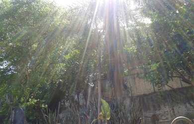 Imagem 4: ÓTIMA LOCALIZAÇÃO, RUA TRANQUILA, PRECISA DE REFORMA!!!