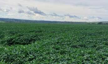 Imagem: Aragoiânia 7 alq na Soja. Leia o Anúncio