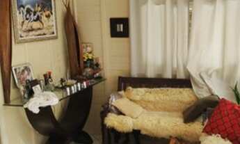 Imagem 7: Tijucas - Sítio - timbe