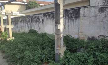 Imagem 5: Terreno-São Paulo-TREMEMBÉ