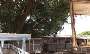 Imagem 7: Ótimo Terreno Av Ademar Bornia