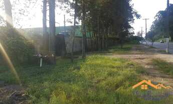 Imagem 4: ÁREA PARA EMPRESAS , CONSTRUIMOS O SEU GALPÃO, LOCAÇÃO!