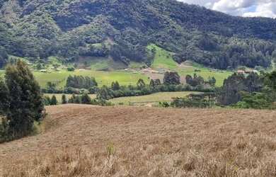 Imagem 2: Excelente sítio de 12 hectares!