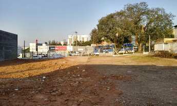 Imagem 6: PORTO ALEGRE - Terreno Padrão - VILA JARDIM