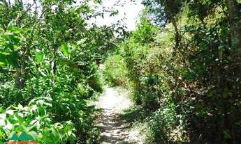 Imagem 7: Terreno com 1.6 ha