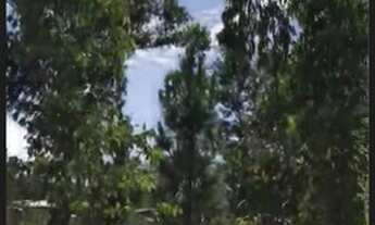 Imagem 6: Terreno enorme Chácara com venda por R$35.000