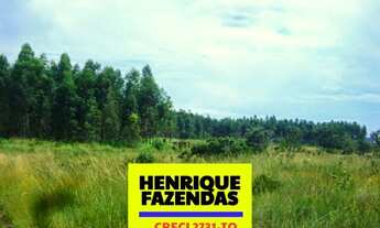 Imagem 5: Fazenda 2.899,16 hectares em Novo Acordo