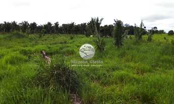 Imagem 7: Vale do Anari - Sítio - 15 Alqueires