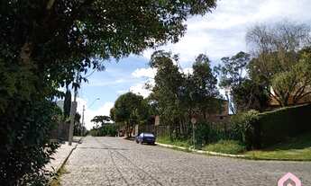 Imagem 2: CAXIAS DO SUL - Apartamento Padrão - Desvio Rizzo