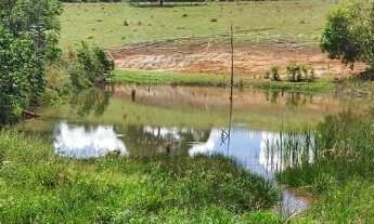 Imagem 2: Oportunidade! Vende-se uma excelente fazenda de 8 Alqueires