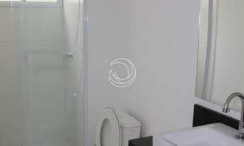 Imagem 7: PALHOçA - Padrão - Pagani