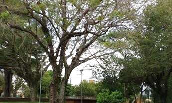 Imagem 3: CR2 IMOVEIS OFERTA CR2533