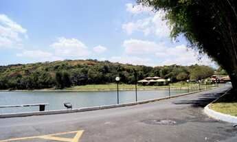 Imagem 6: Lote de 1.000m2 com vista definitiva para a mata, na parte alta