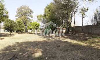 Imagem 6: Jardinópolis - Chácara - Jardim Juruce