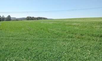 Imagem 4: 6 alq. na região sul de Cascavel