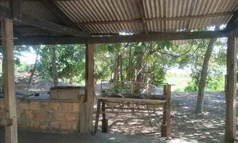 Imagem: Lote Rio Araguaia