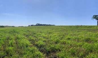 Imagem 6: Porto Feliz - Terrenos de 8.000 m2