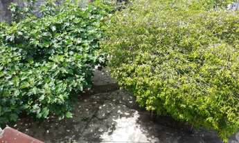 Imagem 6: Excelente terreno para incorporação!!! Aceita permuta por imóvel de menor valor