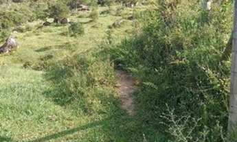 Imagem 7: Terreno para Venda em Garopaba, Ressacada