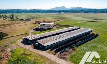 Imagem 7: Fazenda para Venda em Tijucas do Sul
