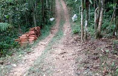 Imagem 3: Vendo Chácara Chácara com venda por R$350.000