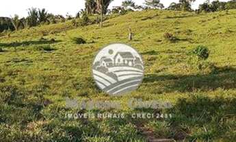 Imagem 6: Ariquemes - Sítio - 24 alqueires Ariquemes