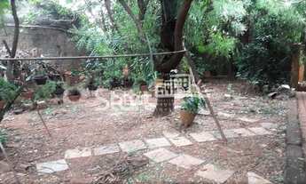 Imagem 7: Casa - Cidade Universitária - Campinas