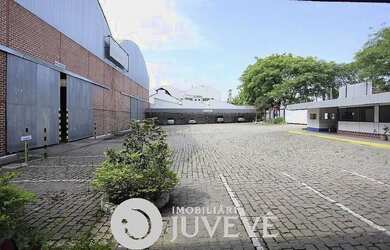 Imagem 4: IMOBILIARIA JUVEVE ALUGA BARRACÃO BACACHERI 7.079,00 M² PROXIMO HOSPITAL VITA LINHA VERDE