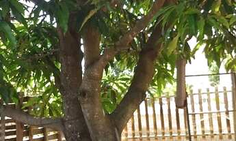 Imagem: Vendo lote 630m² - Condomínio fechado