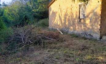 Imagem 3: Vendo propriedade em Santa Luzia do Itanhi