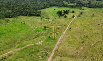 Imagem 6: Fazenda 254 Alqueires, Miranorte, TO