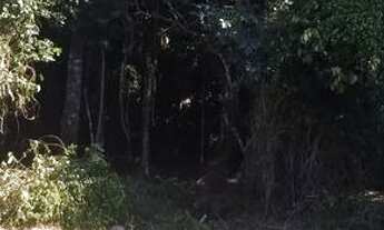 Imagem 5: Terreno Mariscal Bombinhas