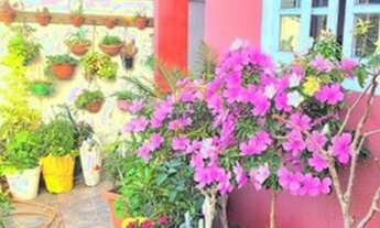 Imagem: FLORIANóPOLIS - Casa Padrão - Rio Tavares