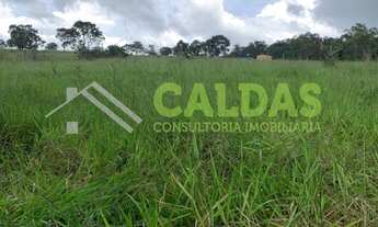 Imagem 3: Fazenda/Sítio/Chácara para venda com 1,2 alqueire Goiás