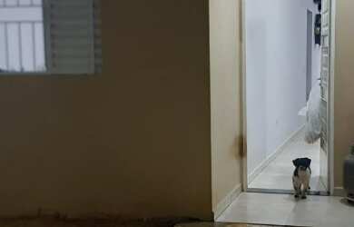 Imagem 9: Vendo casa no Laguna em Salto/SP