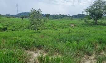 Imagem 6: Fazenda com 390 alqueires para pecuária no sul do Pará