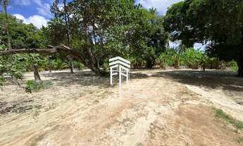 Imagem 7: Ótimo Terreno Comercial/Residencial com 11.880 m2, sendo 44 m de frente e 270 m de fundos