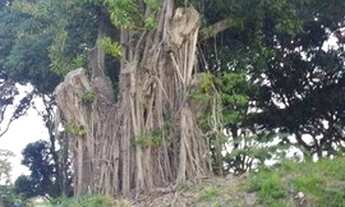 Imagem: Terreno para venda na Reserva Cabiúnas