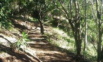 Imagem 3: Chácara Venda Com Edícula 10.000 M² Bairro do Freitas São José dos Campos
