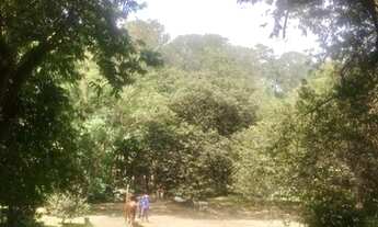 Imagem 7: Terreno com 5.700m², na Riviera Paulista, ótima topografia, luz, esgoto, coleta de lixo, i