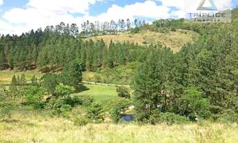 Imagem 4: Terreno residencial à venda, Salvaterra, Juiz de Fora