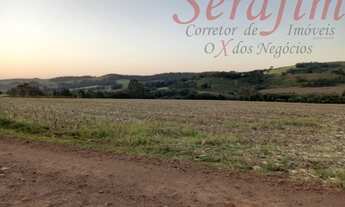 Imagem 4: Sítio 8 alq. com aprox. 7 alq. mec