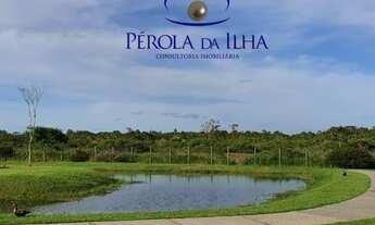 Imagem 7: TERRENO RESIDENCIAL em FLORIANÓPOLIS - SC, RATONES