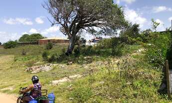 Imagem 5: 2 lotes - 450m2 cada - 900m2 no total ou 30x30 - sombra - cercado