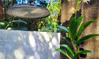 Imagem 3: CASA COM 2 DORMS EM LOTEAMENTO FECHADO NO SERTÃO CACAU, PRAIA DE CAMBURI