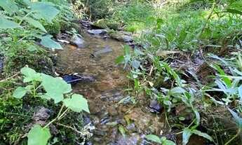 Imagem 6: Terreno Rural 2 hectares/Imóvel Rural 2 hectares Urubici